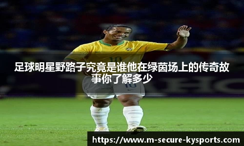 足球明星野路子究竟是谁他在绿茵场上的传奇故事你了解多少