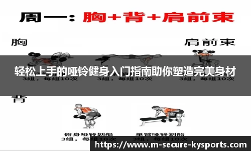 轻松上手的哑铃健身入门指南助你塑造完美身材